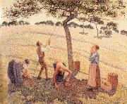 Camille Pissarro Apple picking at Eragny-sur-Epte Germany oil painting artist